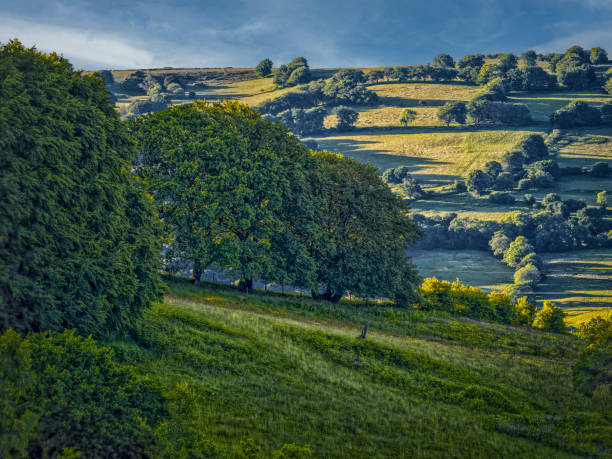 Landscape near Rudry, Wales, United Kingdom