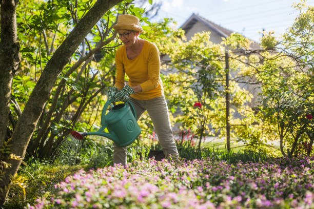 istock Senior woman gardening 2150268117
