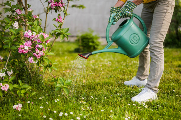 istock Senior woman gardening 2150268123