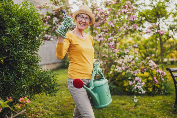 istock Senior woman gardening 2150268136