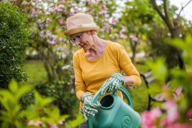 istock Senior woman gardening 2150268143