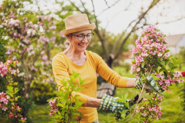 istock Senior woman gardening 2150268144