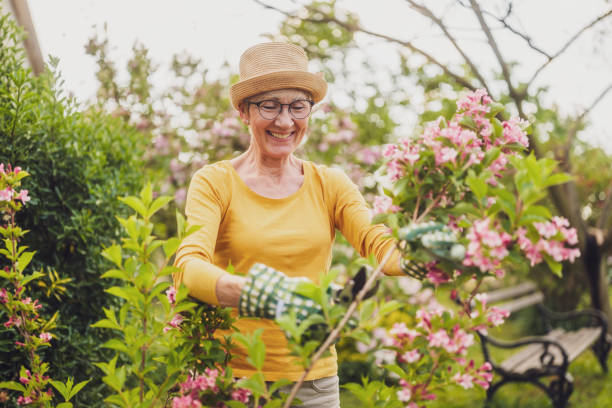 istock Senior woman gardening 2150268159