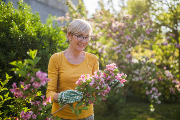 istock Senior woman gardening 2150268172