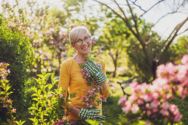istock Senior woman gardening 2150268175