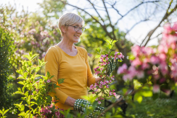 fotografii de stoc, fotografii și imagini scutite de redevențe cu senior woman gardening - grădinărit