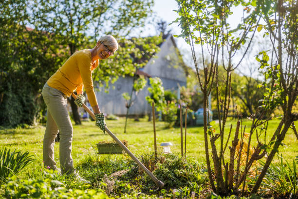 istock Senior woman gardening 2150268195