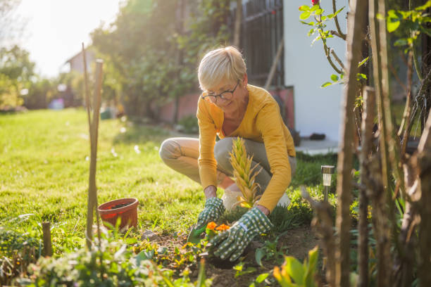 istock Senior woman gardening 2150268233