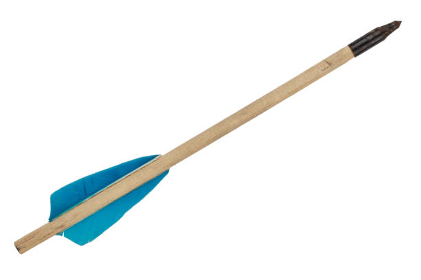 istock Wooden crossbow bolt 2150270333