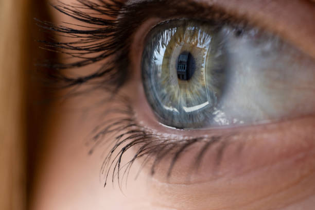 istock Macro of a perfect eye 2150273591