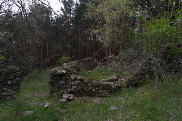 istock building, architecture, stone, structure, old, destroyed, ruins, overgrown, view, mountain, 2150274605