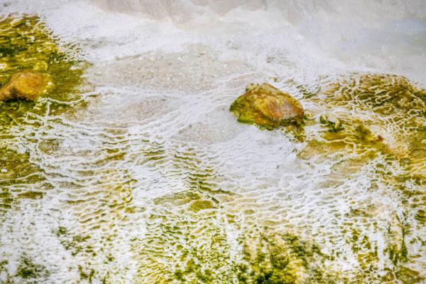 Mix of chalk, sulfur and algae at a thermal spring in volcanic surroundings. The picture is taken at the Sipoholon hot springs in the northern part of Sumatra
