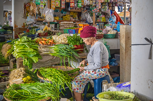 Balige Farmers Market, North Sumatra, Indonesia - February 2nd 2024:  Old woman sitting in a green grocers market stall sorting the vegetables
