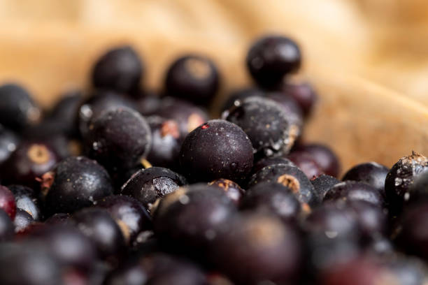 istock fresh frozen currants for long-term storage 2150280989