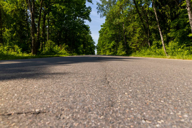 paved road with trees in the forest in sunny weather, trees along the paved road for cars