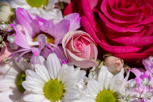 istock a beautiful bouquet combined with different flowers 2150281068