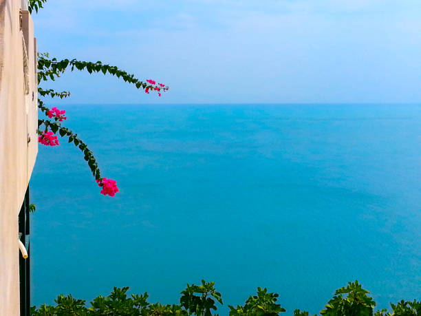 bougainvillea branch overlooking the blue sea of Salento