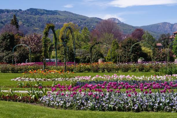 istock View of the Stresa botanical gardens in springtime 2150285299