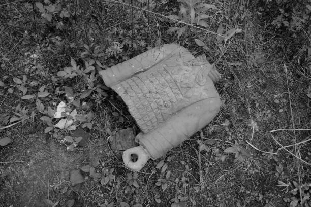 The Terracotta Army in wild grass