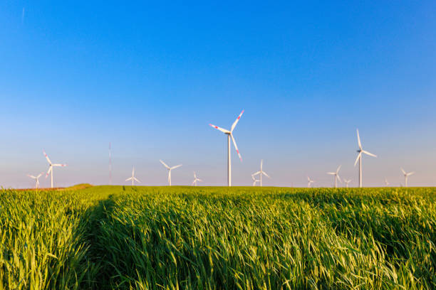 istock Horizontal axis wind turbines in high grass agricultural field under the clear blue sky 2150286786