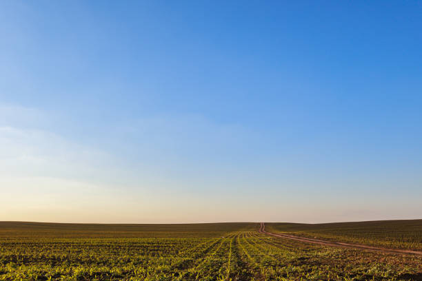 istock Blue sky above agricultural field 2150287288