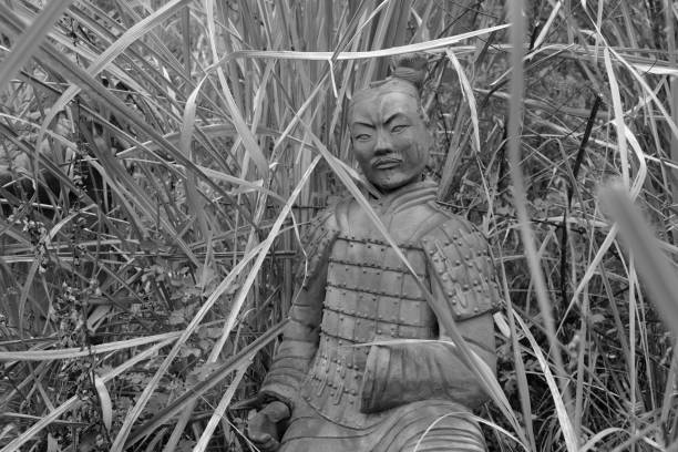 The Terracotta Army in wild grass