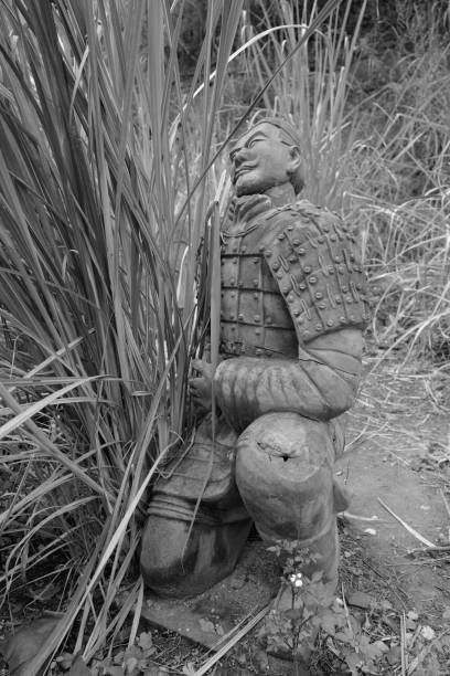 The Terracotta Army in wild grass