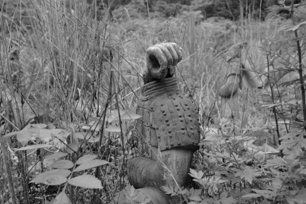 The Terracotta Army in wild grass