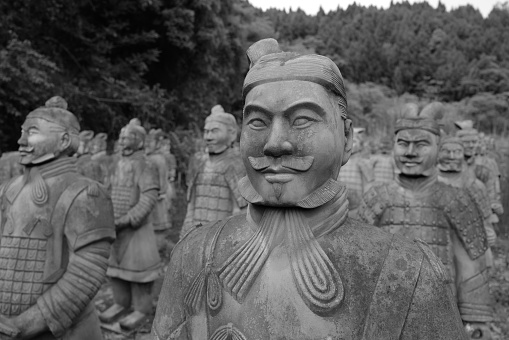 The Terracotta Army in wild grass