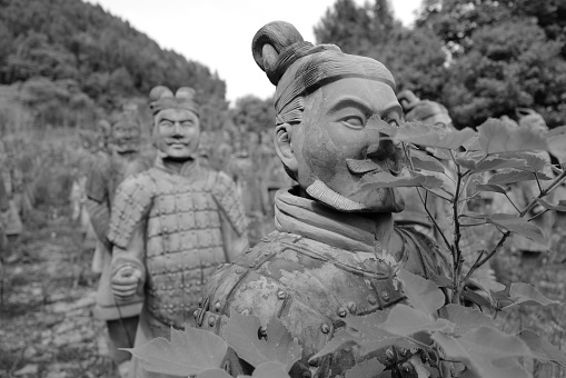 The Terracotta Army in wild grass