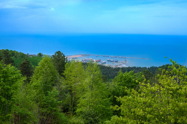 sea ​​view and harbor from the forest