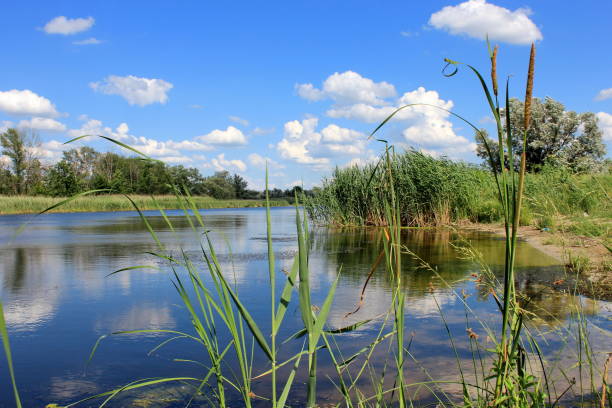 istock An ideal, relaxing summer holiday on the river. 2150297606