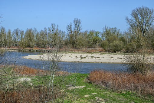 Meanders of the Vistula River, a wild sandy beach in the middle of the river