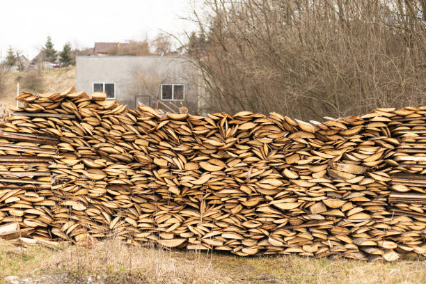 firewood stacked outdoors, harvesting firewood