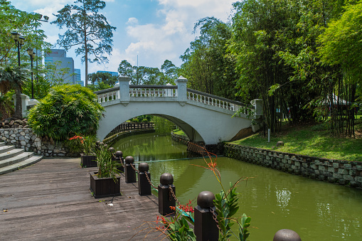 Kuala Lumpur, Malaysia - March 4th 2018: Trees around the footbridge over the stream in the Perdana Botanical Garden.