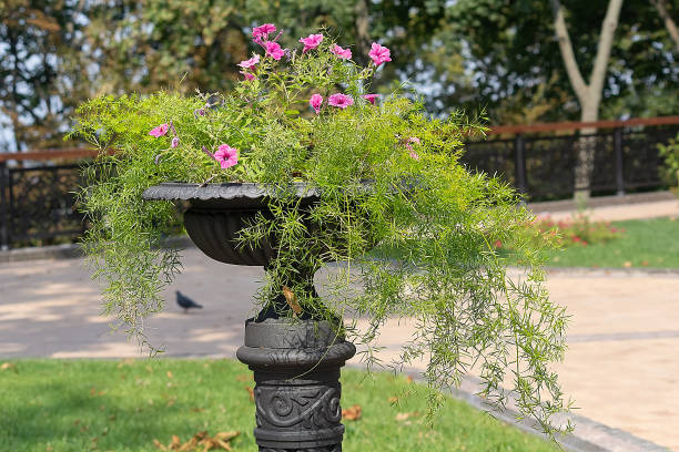 istock Flowers in a retro vase in the park 2150302252