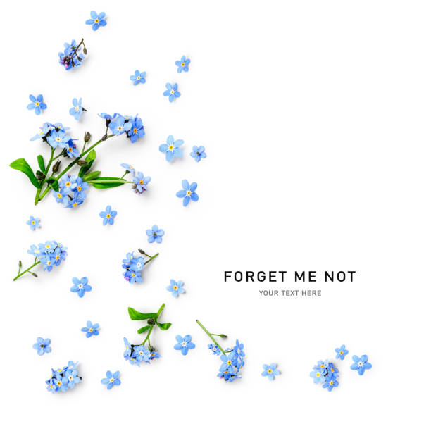 istock Forget me not flowers frame border isolated on white background 2150303124