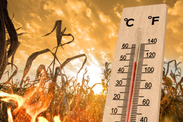 istock Hot weather heatwaves 2150303753