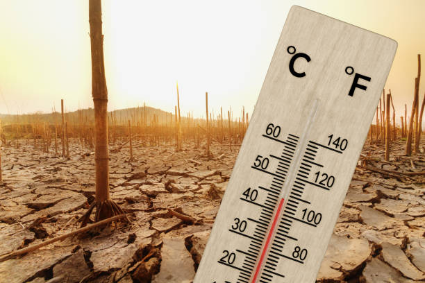 istock Heatwaves impact agriculture 2150303870
