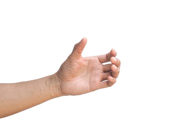 istock Men's hands making gestures like  is holding something  such as a phone or a water bottle  Isolated on white background. 2150306982