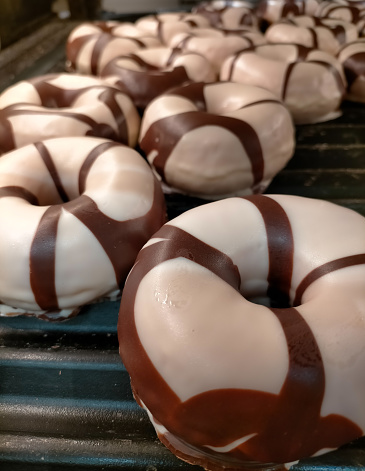Donuts, white chocolate donuts with dark chocolate stripes in a freshly made bakery