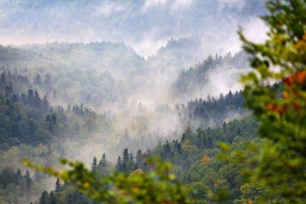 istock Misty mountains in Ordesa, Spain 2150309956