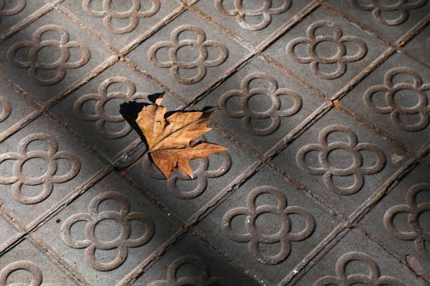 Barcelona sidewalk floral tiles