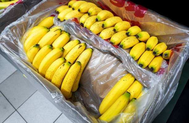 Cardboard box with fresh tasty bananas at the superstore