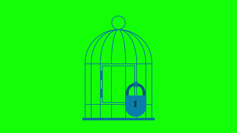 Birdcage with a lock. Prison gate. Vintage empty birdcage of metal jail with closed door isolated on green background. Birdcage. Steel traps. Vintage bird cage. Flat style. 2d animation. Alpha channel