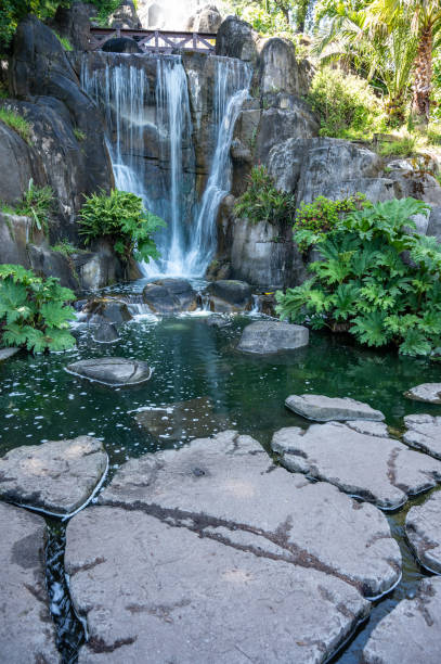 Huntington waterfalls in Golden Gate park of San Francisco during springtime day
