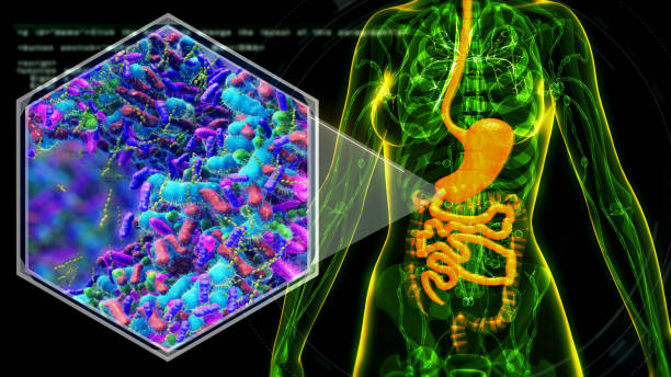 Intestinal microbiome,Probiotics health benefits,Gut bacteria,lactococcus, propionibacterium, bifidobacterium.