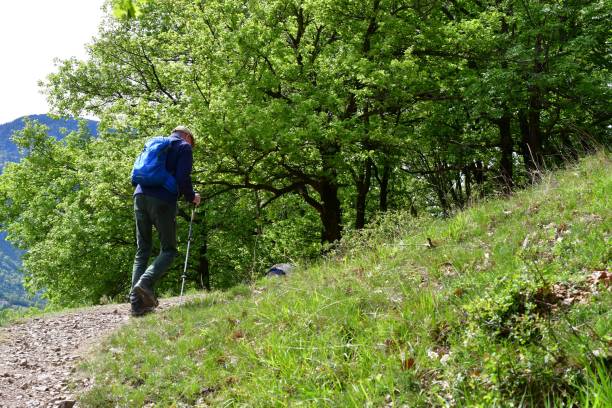 Mann wandert auf Castelfeder in Südtirol