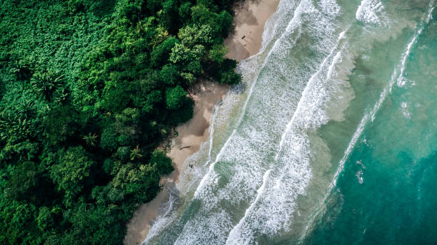 istock Costa Rica beautiful beaches and rainforest 2150322241