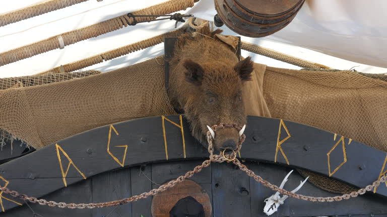 Wild boar head mounted on a ship, flanked by rugged ropes and shields, a fierce nod to Viking traditions and maritime lore